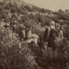 Archivo Fotogrfico Forestal